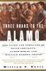 Three_roads_to_the_Alamo