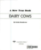 Dairy_cows