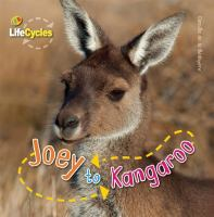 Joey_to_kangaroo