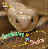 Snakelet_to_snake