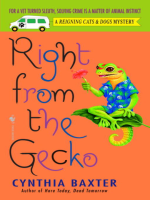 Right_from_the_Gecko
