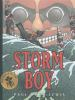 Storm_boy