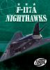 F-117A_Nighthawks