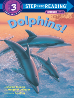 Dolphins_