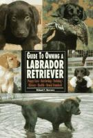 The_guide_to_owning_a_Labrador_retriever