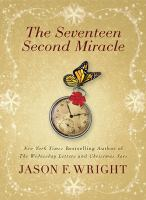 The_seventeen_second_miracle